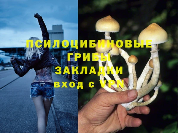 марки nbome Каменногорск