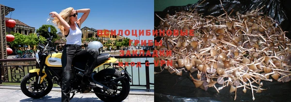 марки nbome Каменногорск