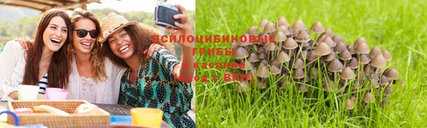 марки nbome Каменногорск