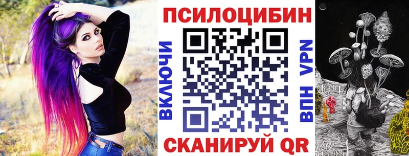 Псилоцибиновые грибы Psilocybe  Купить закладки  Енисейск 